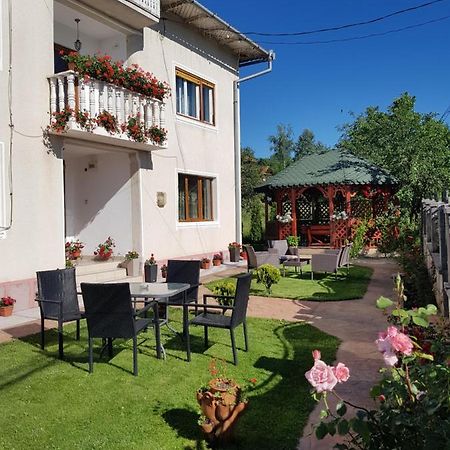 Pensiunea Alexia Novaci-Străini Buitenkant foto