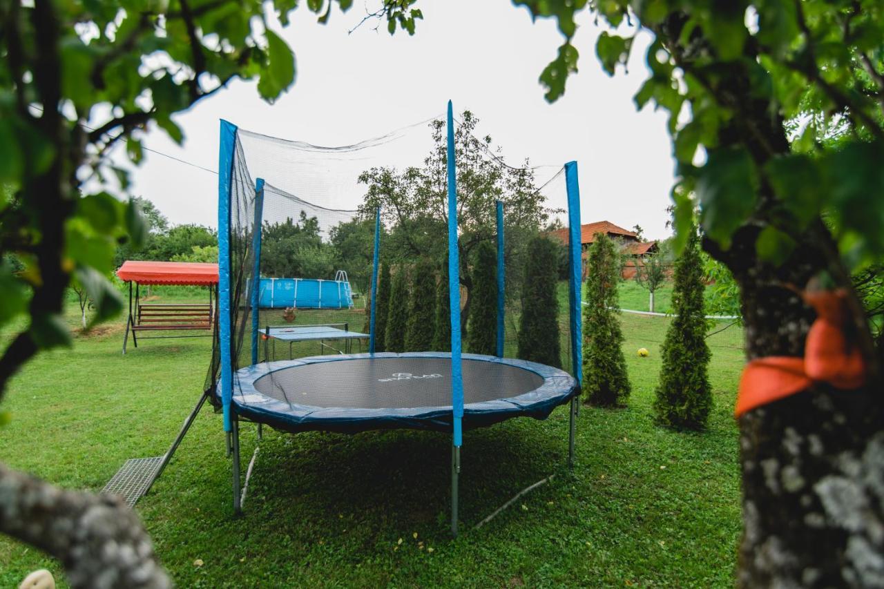 Pensiunea Alexia Novaci-Străini Buitenkant foto